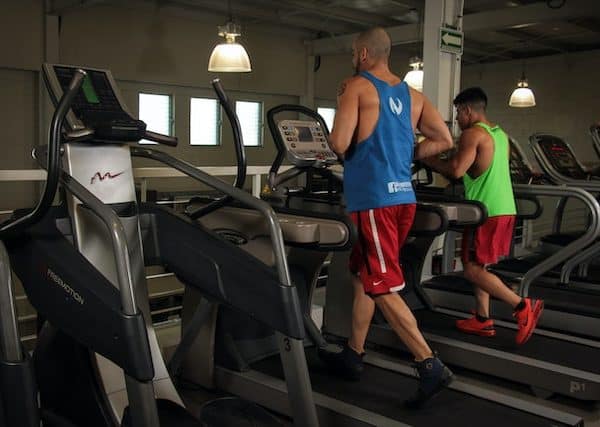 Matrix TF50 Treadmill: Features, Drawbacks and Specifications (2023 Updated)