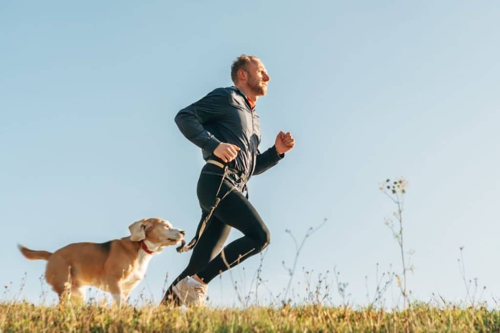 How to Safely Start Running With Your Dog - treadmill.run